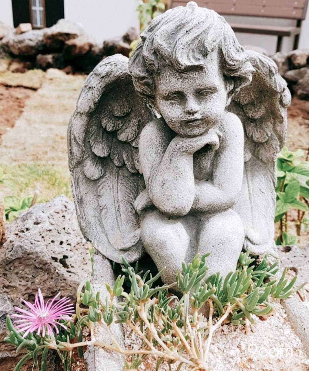 Hanihaus Sinchon-Ri เมืองเชจู ภายนอก รูปภาพ